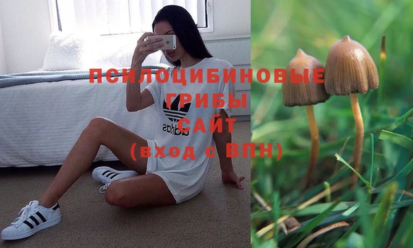наркотики Арсеньев